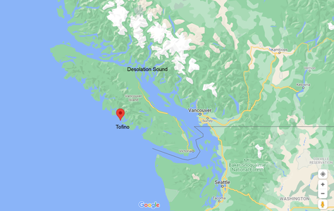 The Travel Bug has a strong pull