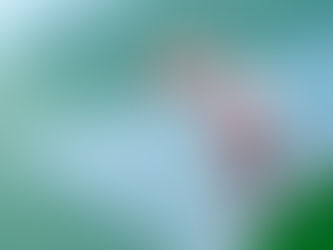 SEDENTARISMO DE GIMNASIO VS NEAT: NUEVA PROPUESTA DE MEJORA DE SALUD