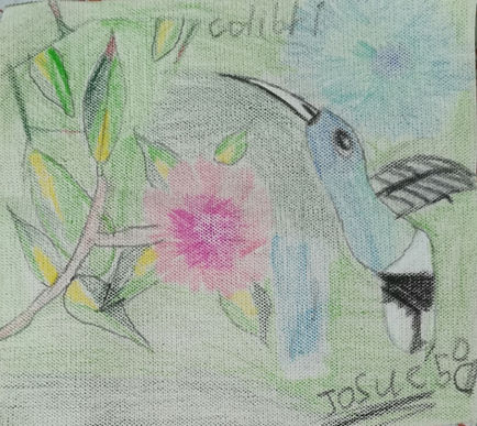“UN COLIBRÍ” 