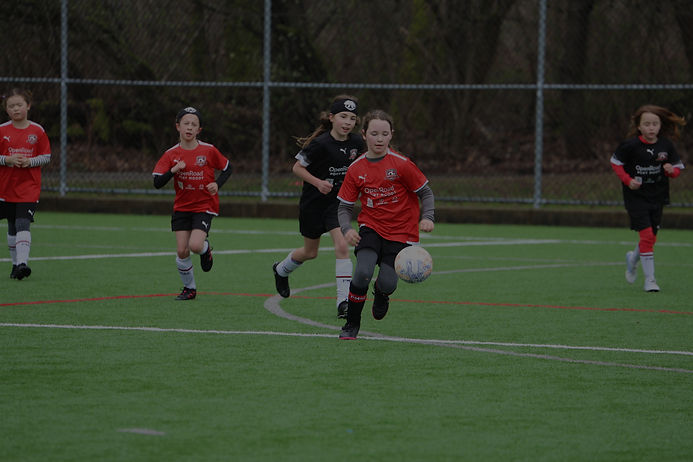 IMG_0282_edited.jpg