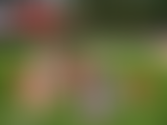 Discover the Heart of Youth Soccer at Port Moody Soccer Club