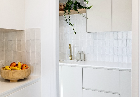 LAUNDRY BUTLERS_edited.png