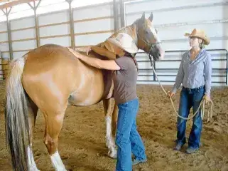 What’s the Points for Colic Prevention?