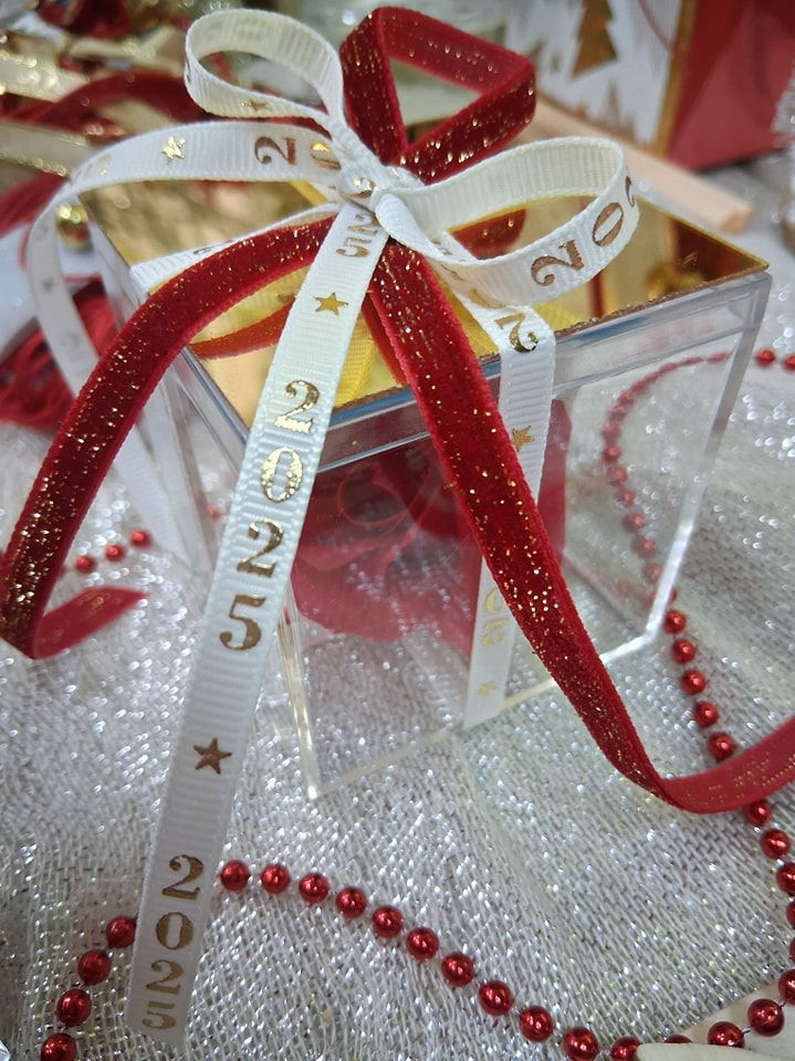 Thumbnail: Τριαντάφυλλο 2025 CC12