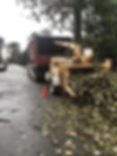 Joe Skillen Tree Services Chilliwack