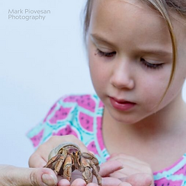 bugs_girl & hermit crab.png
