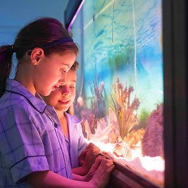 MDC_kids at fishtank.jpg