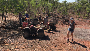 Daly River - just like a reality tv show