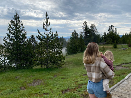 Jour 11 : Premier jour à Yellowstone National Park