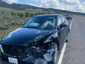 🦌 Un accident au cœur de l’Utah… et une immense leçon d’humanité