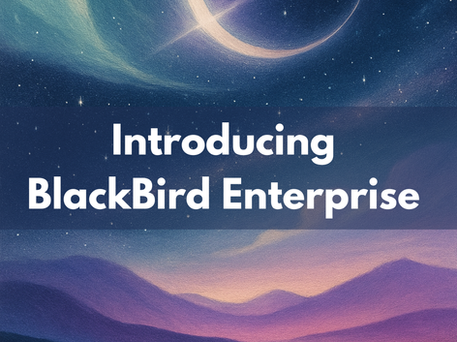 Announcing BlackBird Enterprise: Structurally Private AI on Your Devices and Cloud