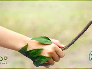 Sustentabilidade Elcop