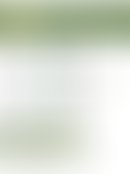 Fall 2025 Meeting Handouts