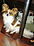 med_58cd91c11a7d1.jpg