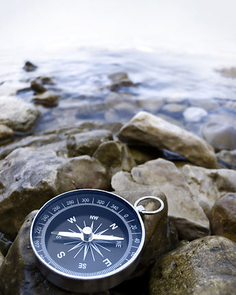 shutterstock_57794383.jpg