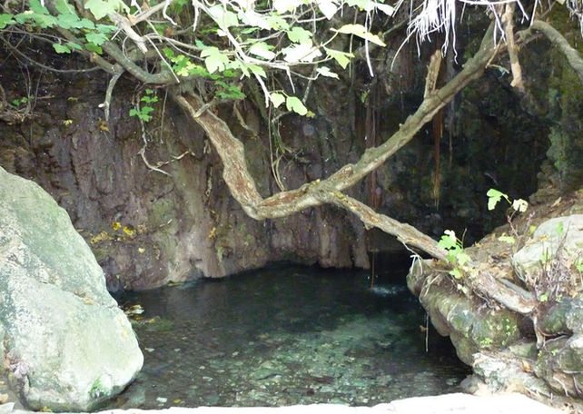 The tiny Baths of Aphrodite Cave, near Akamas north coast. Close-up of the pool, with water in the center, rocks on all sides and a fig plant on the upper part of the photo.