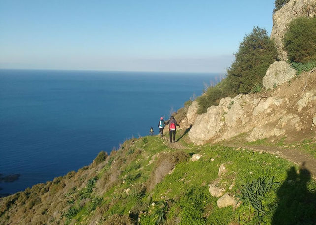 A few walkers descending the beautiful Aphrodite trail in Akamas, under blue sky and warm weather. Very green slope and the blue sea in the background.