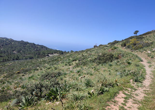 A trail on a green slope of Pissouromoutti peak in Akamas. Glimpse of the sea of Lara coast in the background