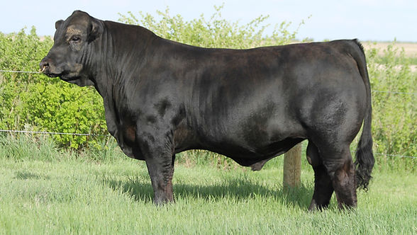 RPY Gibsons Deadshot 14J ET.JPG