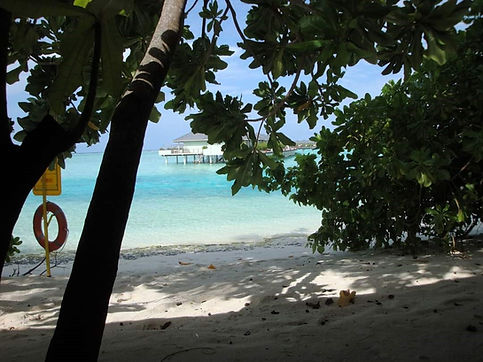 maldives.jpg