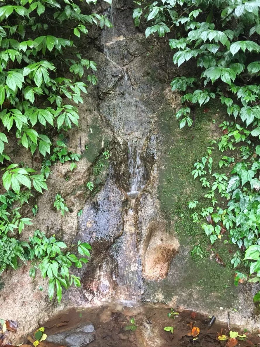 2019_23.01.13絹絲瀑布步道_200722