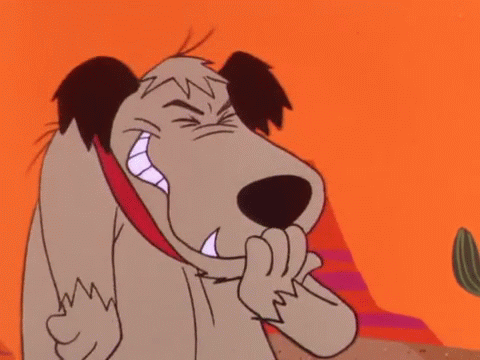 Dogs Read Our Minds