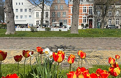 ueberUns-stadt-01.jpg