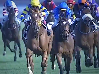 Walter Smoothie wins the Racing Association Handicap!