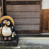 tanuki