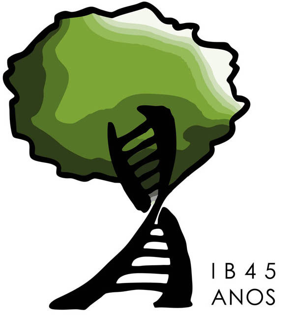 Logotipo IB 45 ANOS