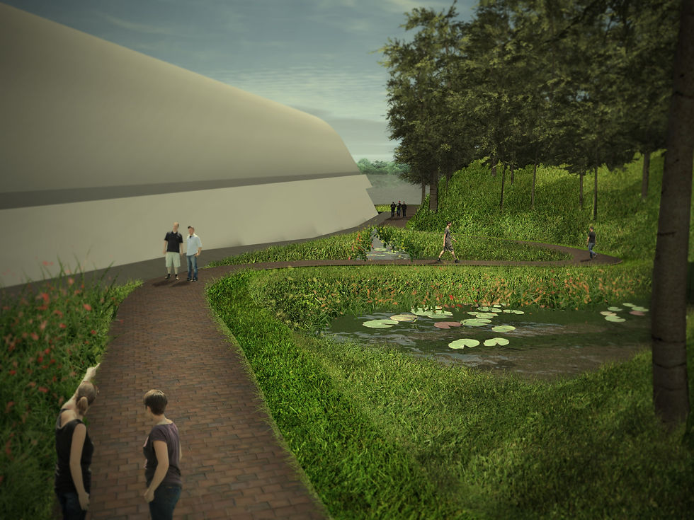 Wetland 01