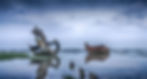 Passion For Photography