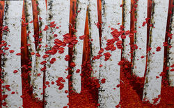 Magnificent Hinterland