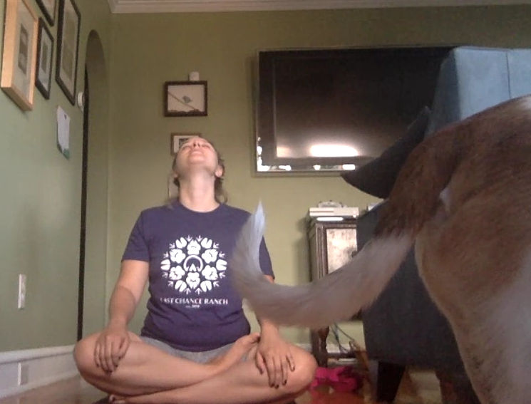 For the Love of Ashtanga and YOU!