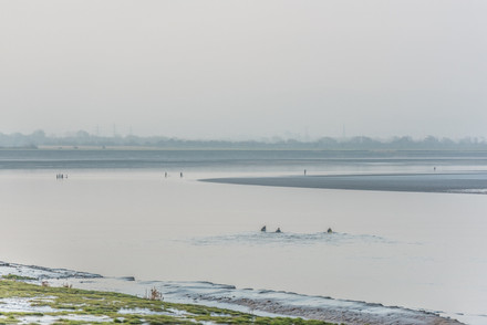 Severnbore-book-2.jpeg