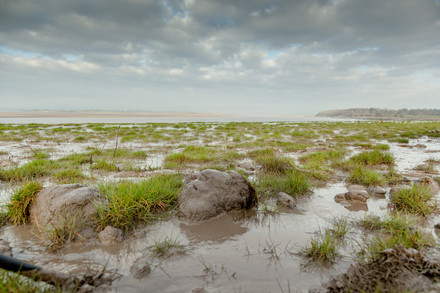 Severnbore-book-17.jpeg
