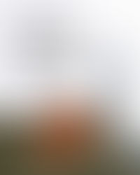 REFLECTION: Embodying Resilience