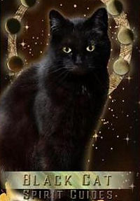 Black cat spirit guide.JPG