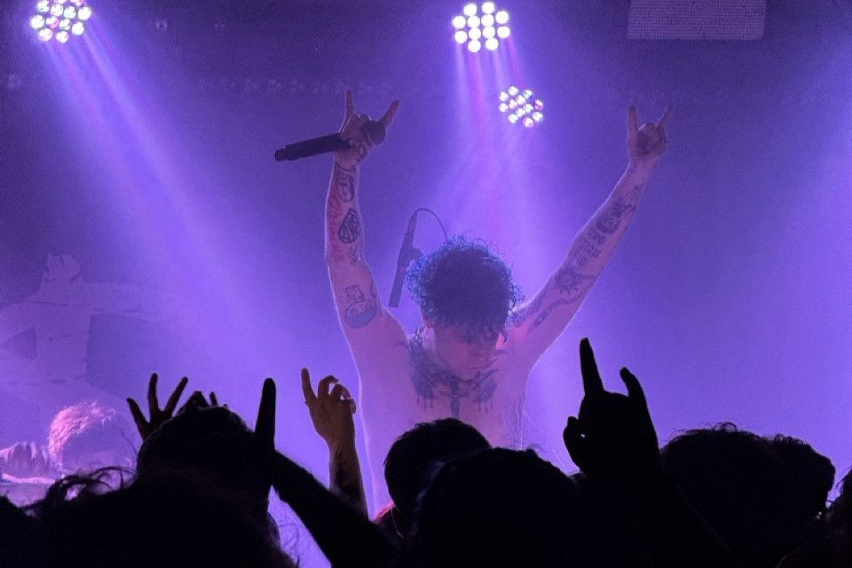 Plant @ SPAZIO211 (24.04.26)