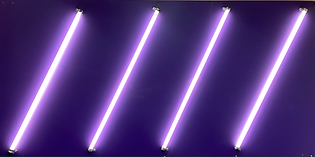 LIGHT SHOP.png