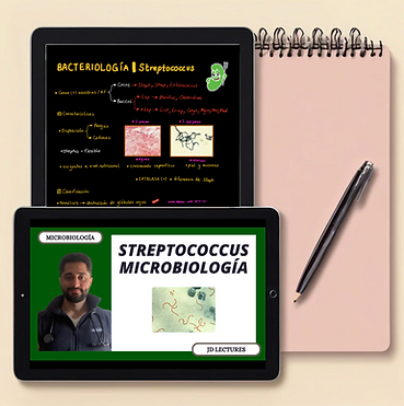 Screenshot 2024-11-12 at 1.39.29 p.m..png