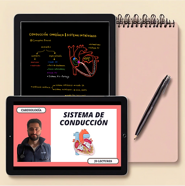 Screenshot 2024-11-12 at 1.39.29 p.m..png