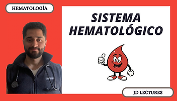 Screenshot 2025-02-05 at 12.23.17 p.m..png