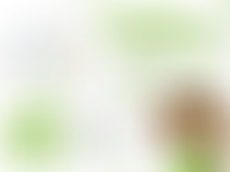 【Little Freiddie小皮😎現身高雄】