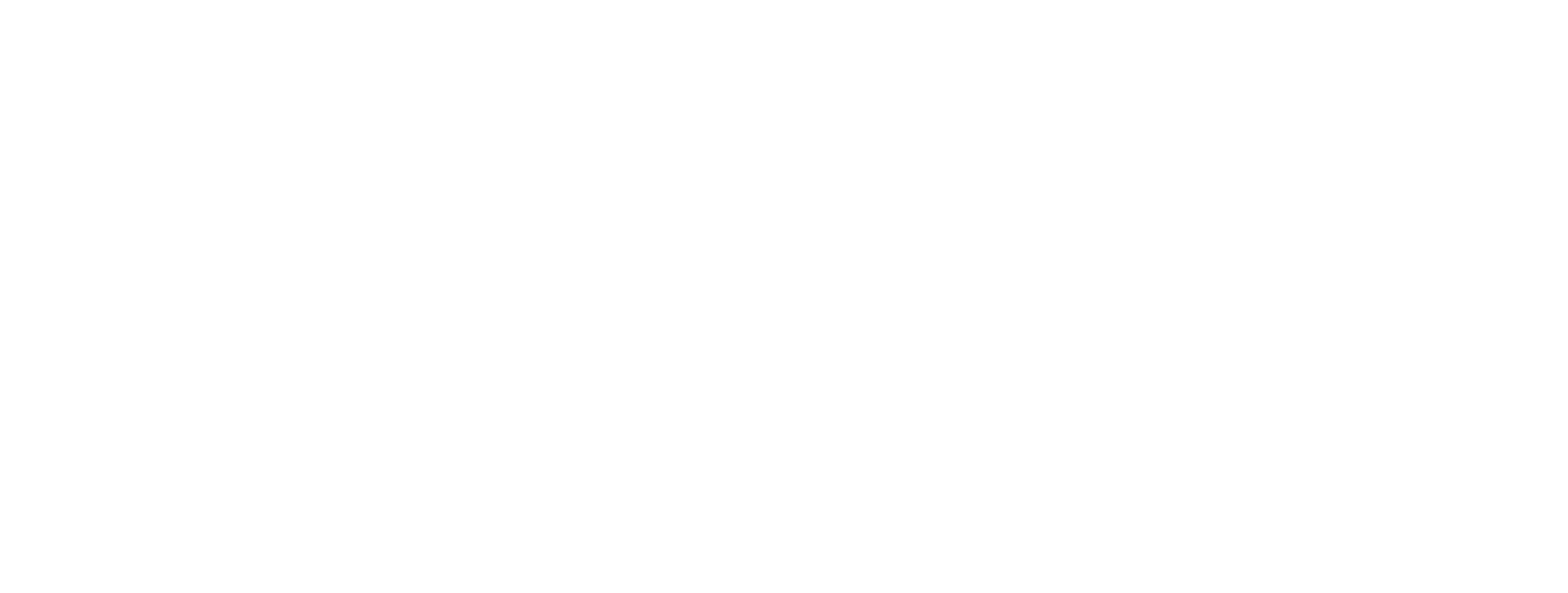 AFRICA ADVOCACY FOUNDATION logo