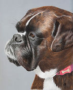 how to draw a dog with pastels