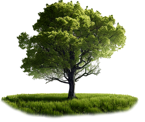 Constant Healing Energy Horam East Sussex