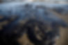 black-oil-slick-sandy-beach-with-ocean-waves-highlighting-pollution-impact-marine-life