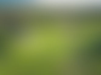 Design a Beautiful Blog