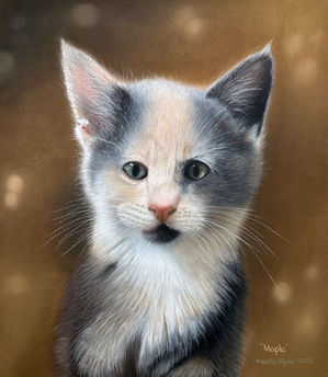 Pet Portrait Commissions Devon